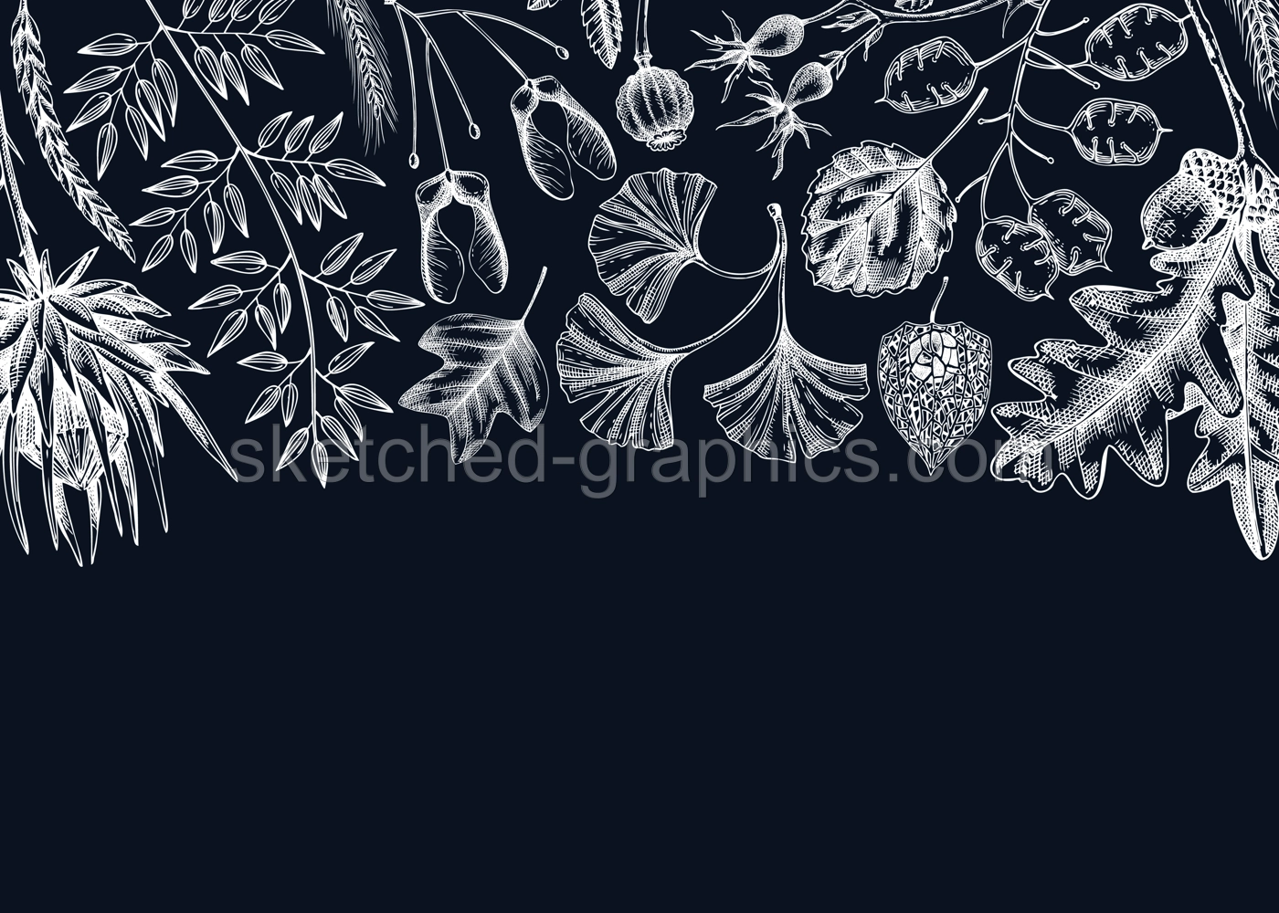 Autumn background. Fallen leaves and dried flowers banner. Botanical border template. Hand-drawn dried herbs, fall leaves, mushrooms, and fruit illustration. Thanksgiving background. Illustration